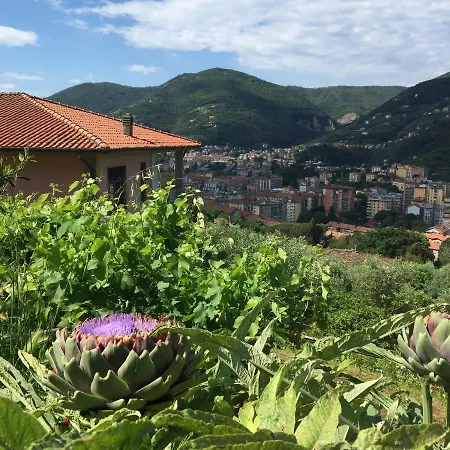 Gli Amici Di Carla Affittacamere *